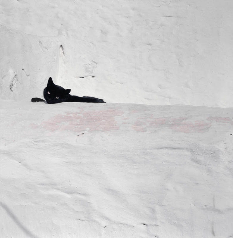 Texto alternativo para la imagen