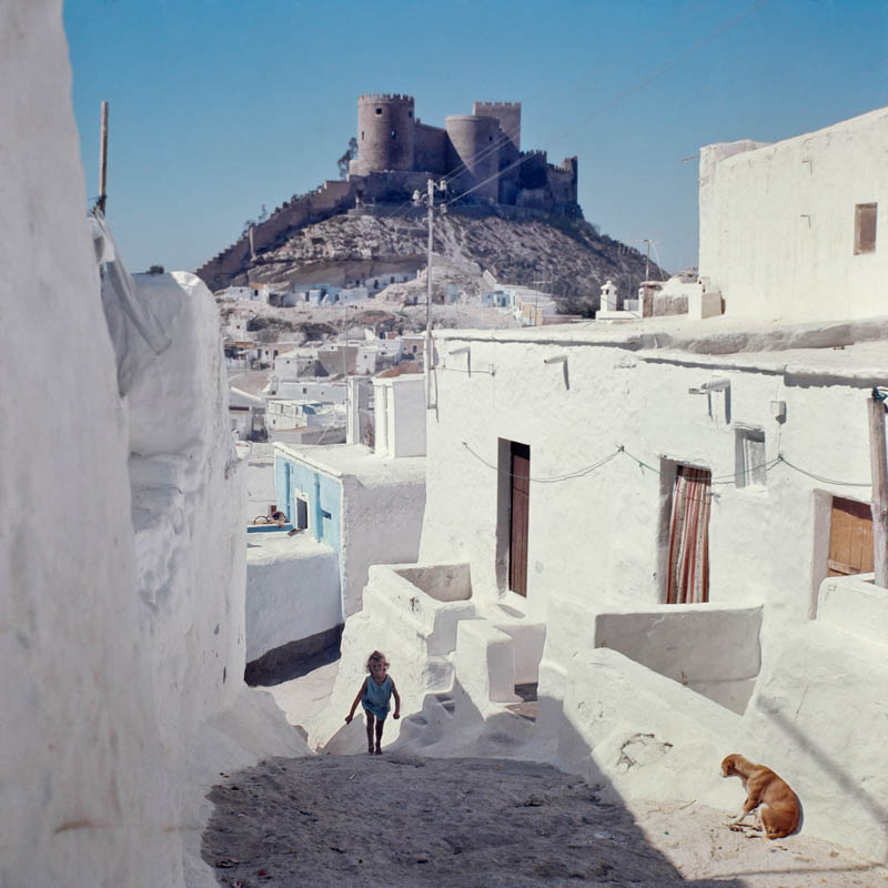 Texto alternativo para la imagen