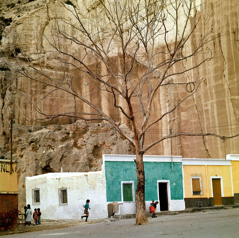 Texto alternativo para la imagen