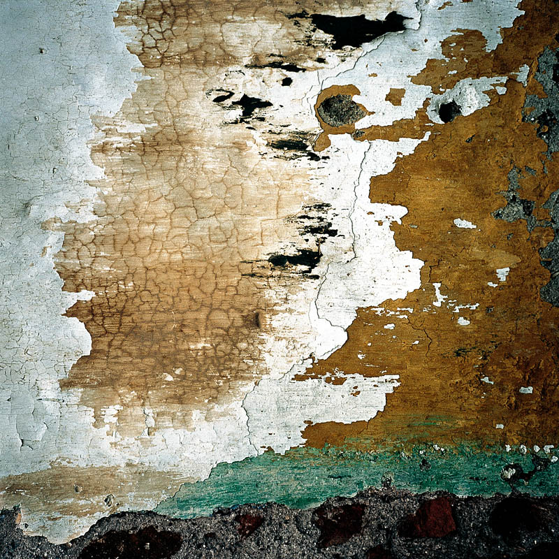 Texto alternativo para la imagen