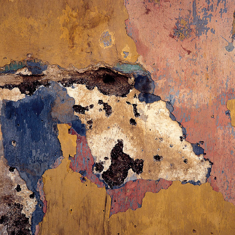 Texto alternativo para la imagen