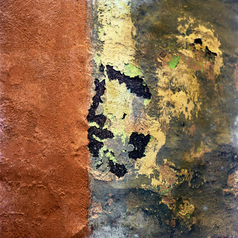 Texto alternativo para la imagen