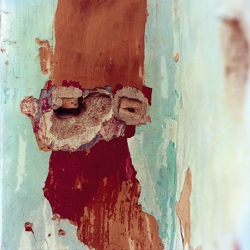 Texto alternativo para la imagen