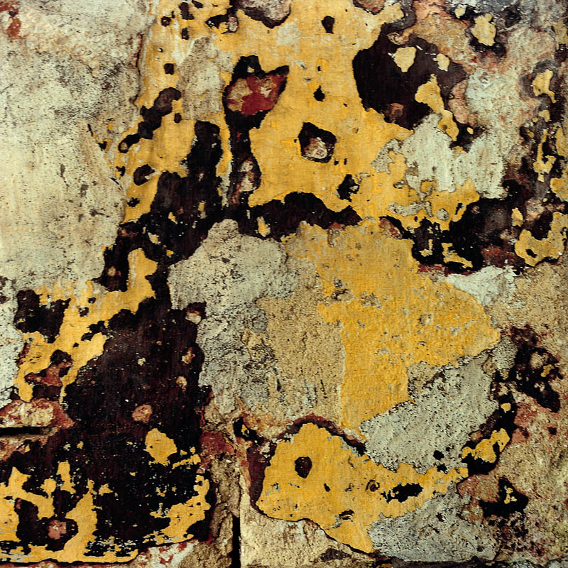 Texto alternativo para la imagen