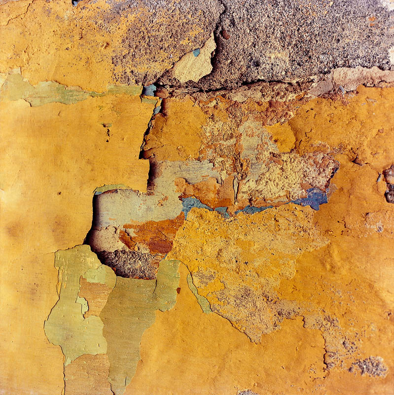 Texto alternativo para la imagen