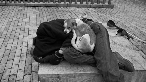 Texto alternativo para la imagen