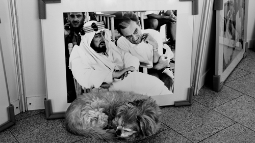 Texto alternativo para la imagen