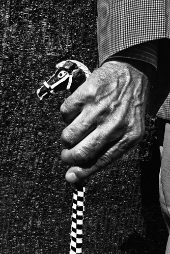 Texto alternativo para la imagen