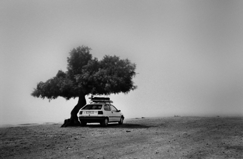 Texto alternativo para la imagen