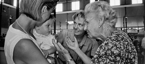 Texto alternativo para la imagen