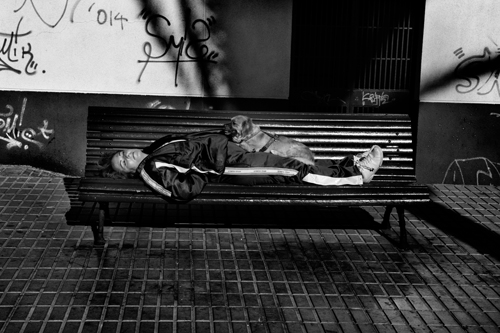 Texto alternativo para la imagen