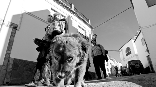 Texto alternativo para la imagen