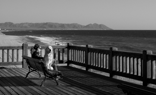 Texto alternativo para la imagen