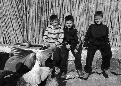 Texto alternativo para la imagen