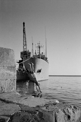 Texto alternativo para la imagen