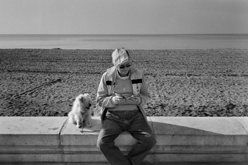 Texto alternativo para la imagen