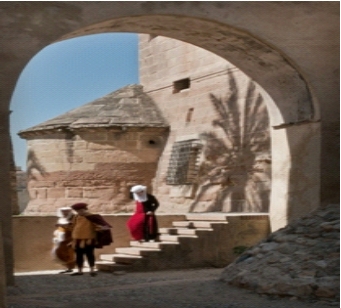 Texto alternativo para la imagen