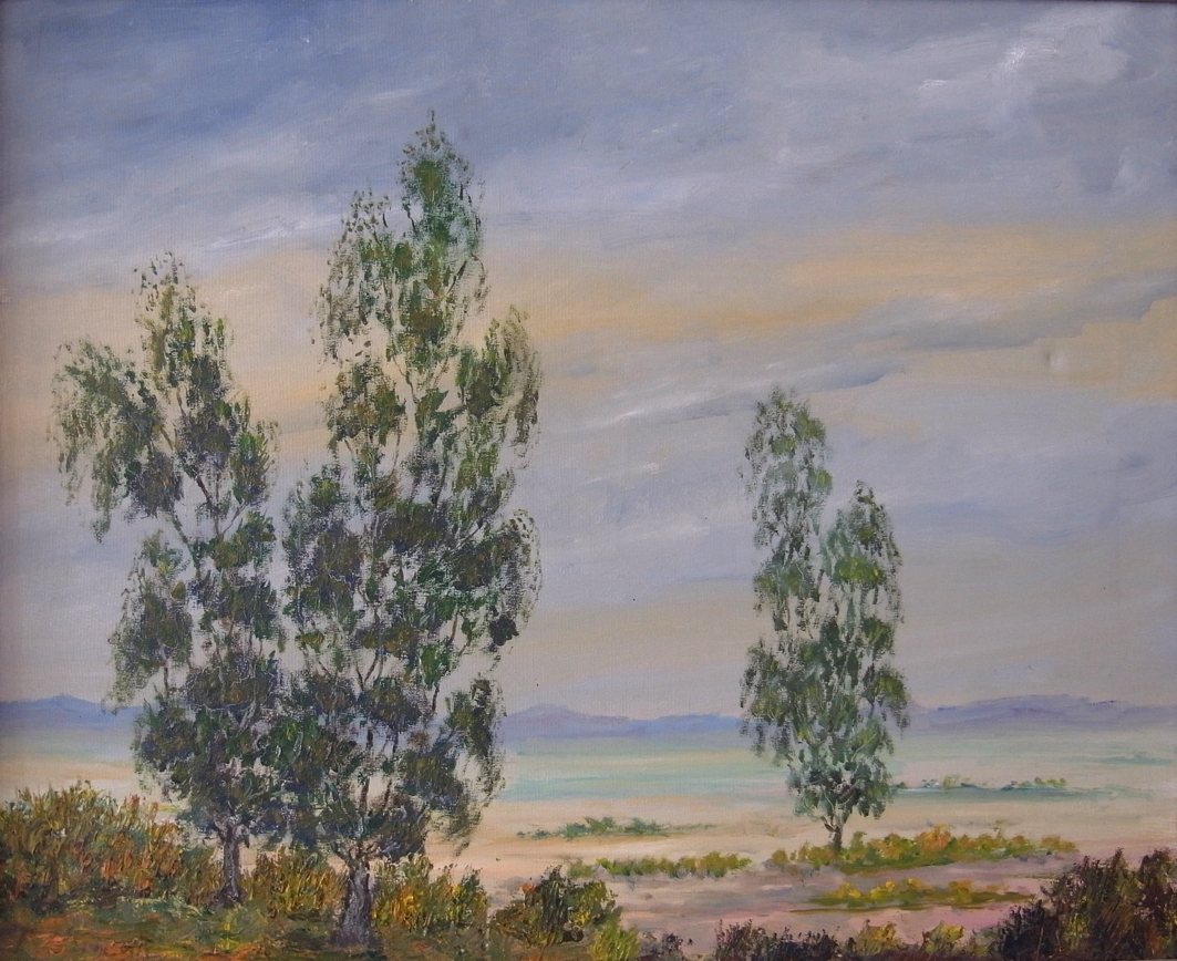 Texto alternativo para la imagen