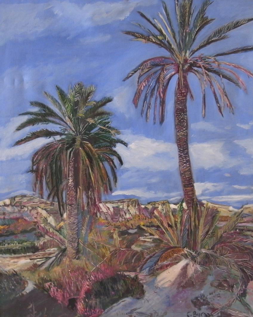 Texto alternativo para la imagen