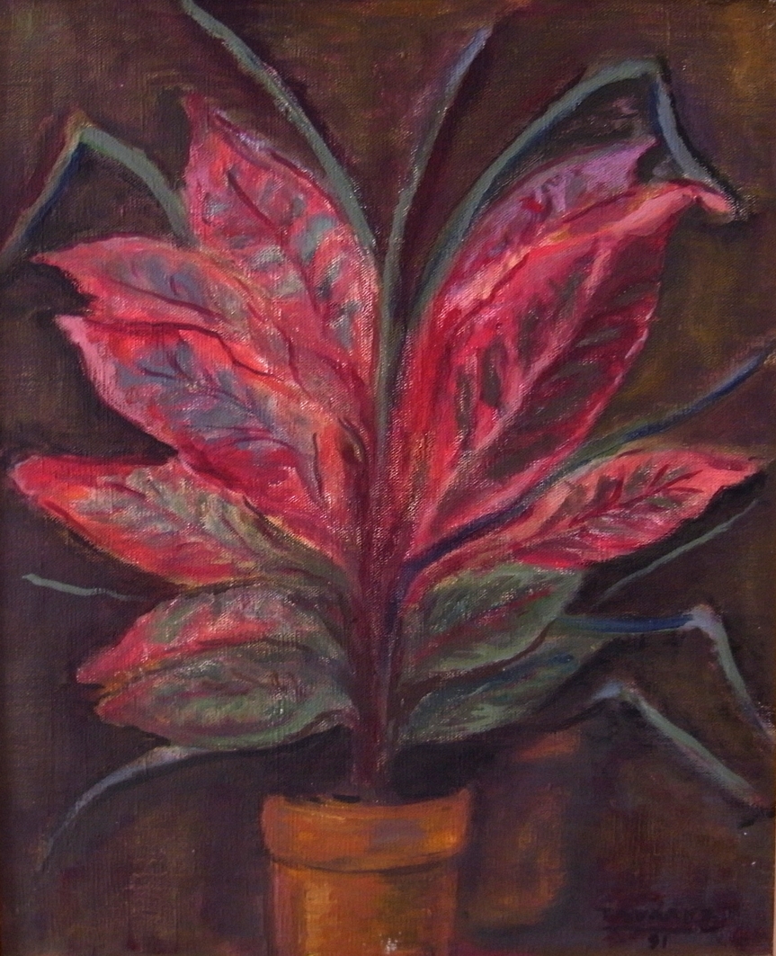 Texto alternativo para la imagen