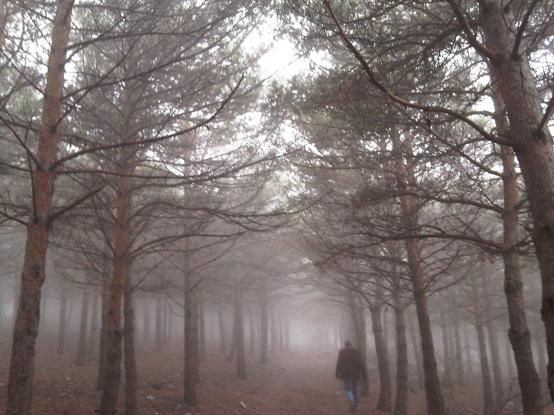 Texto alternativo para la imagen