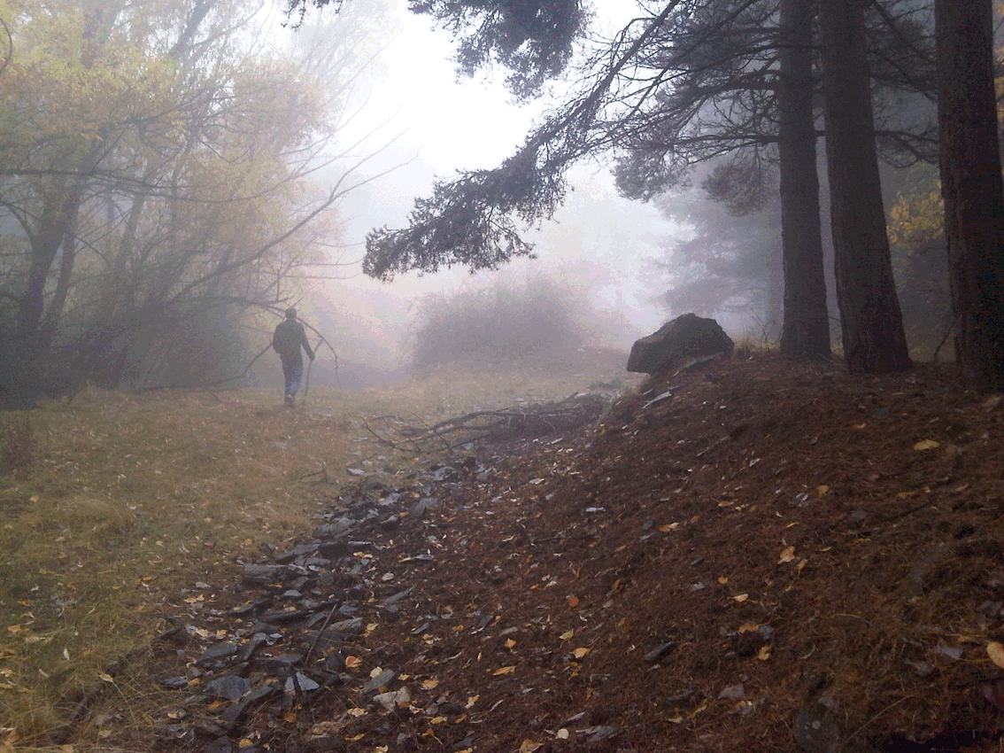 Texto alternativo para la imagen