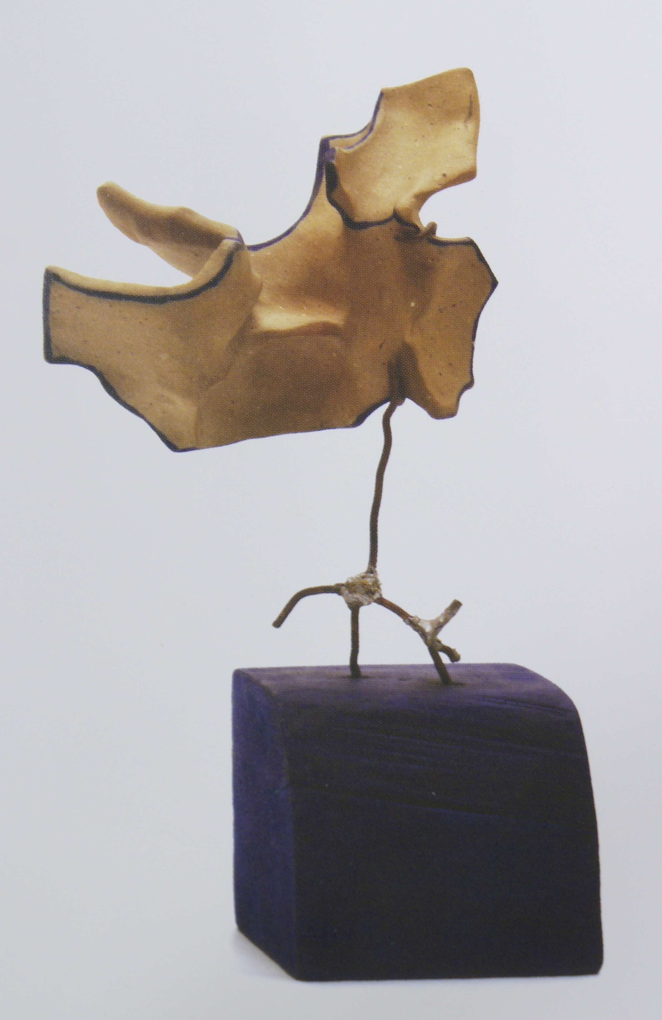 Texto alternativo para la imagen