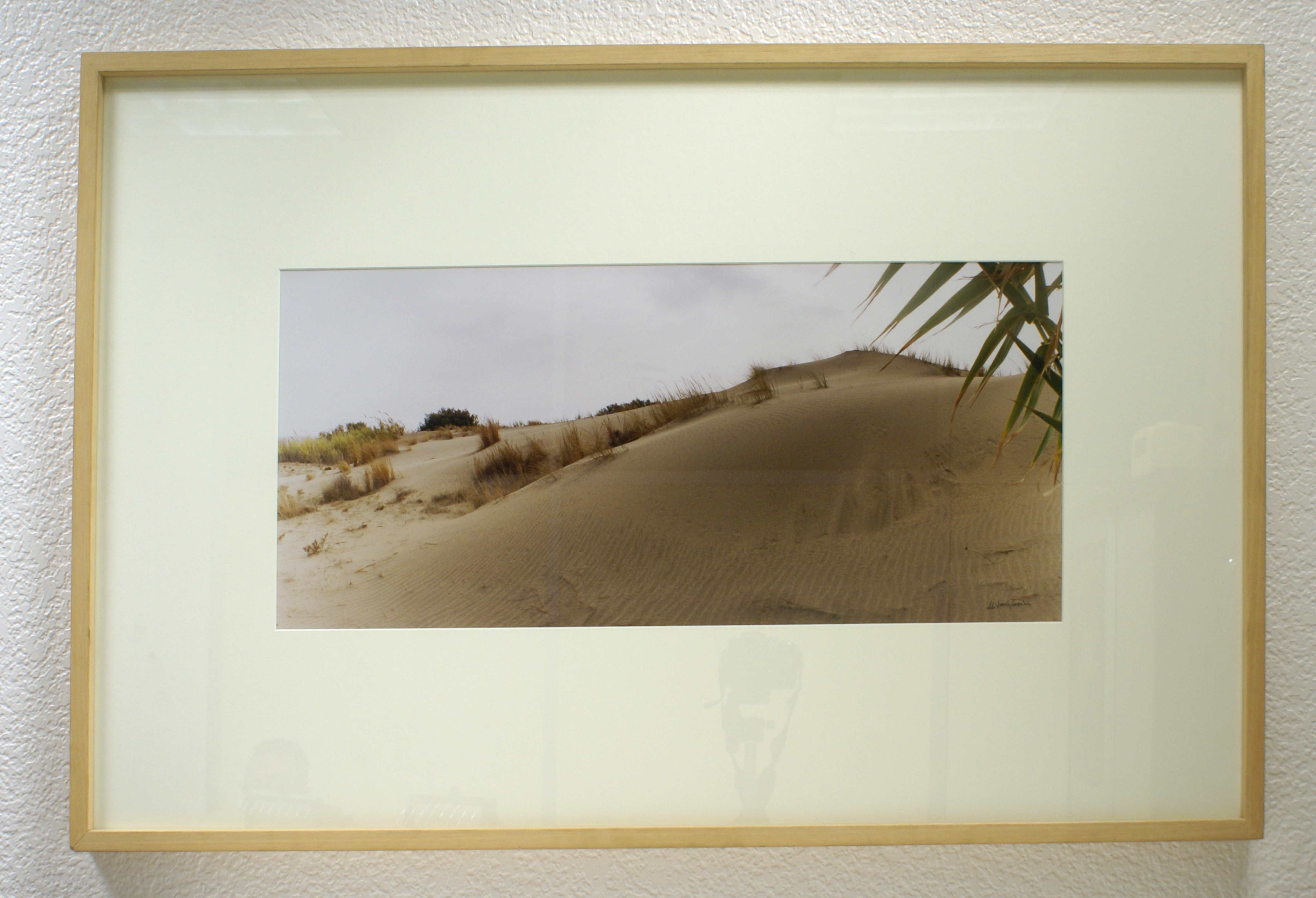 Texto alternativo para la imagen