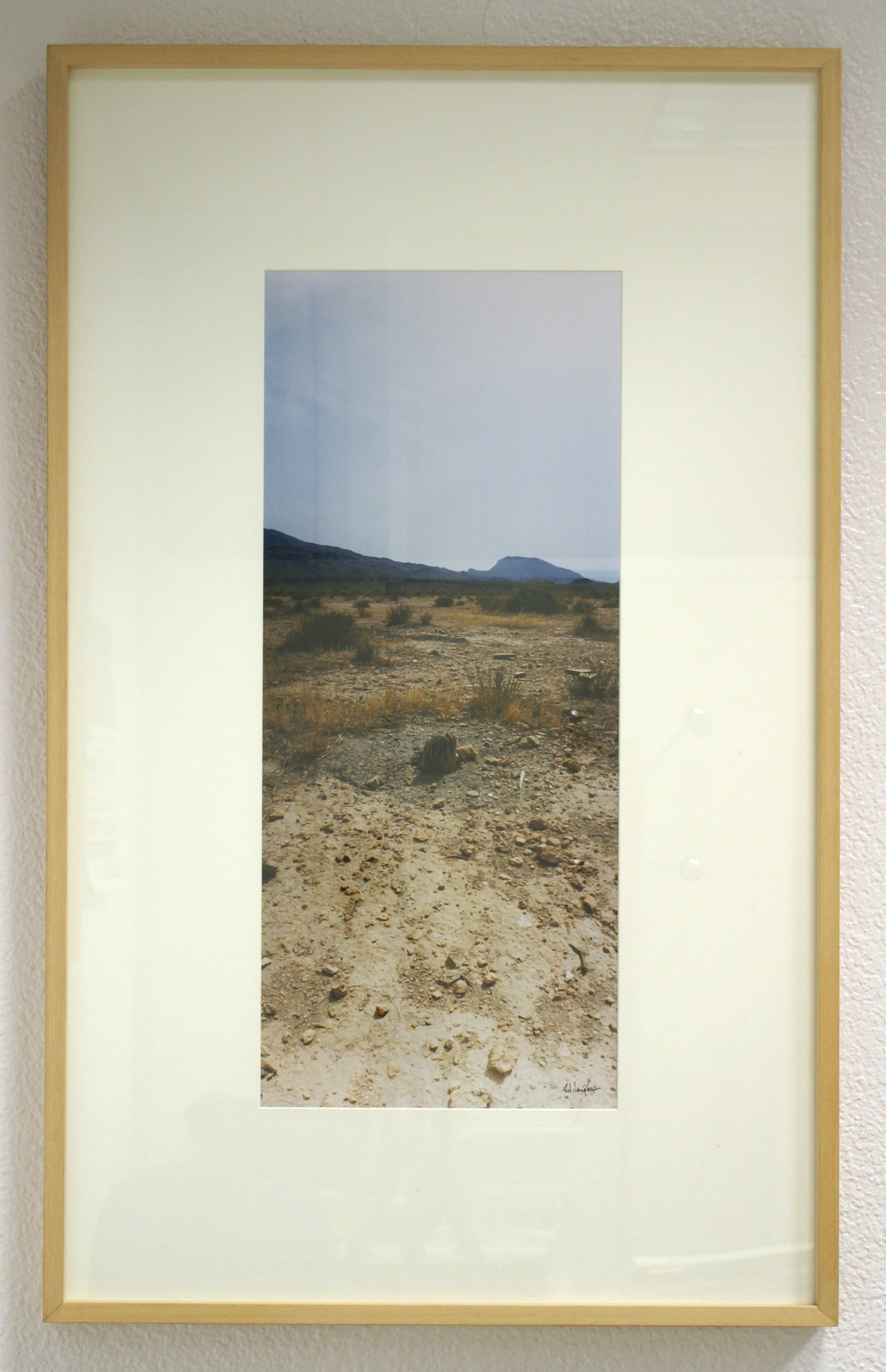 Texto alternativo para la imagen