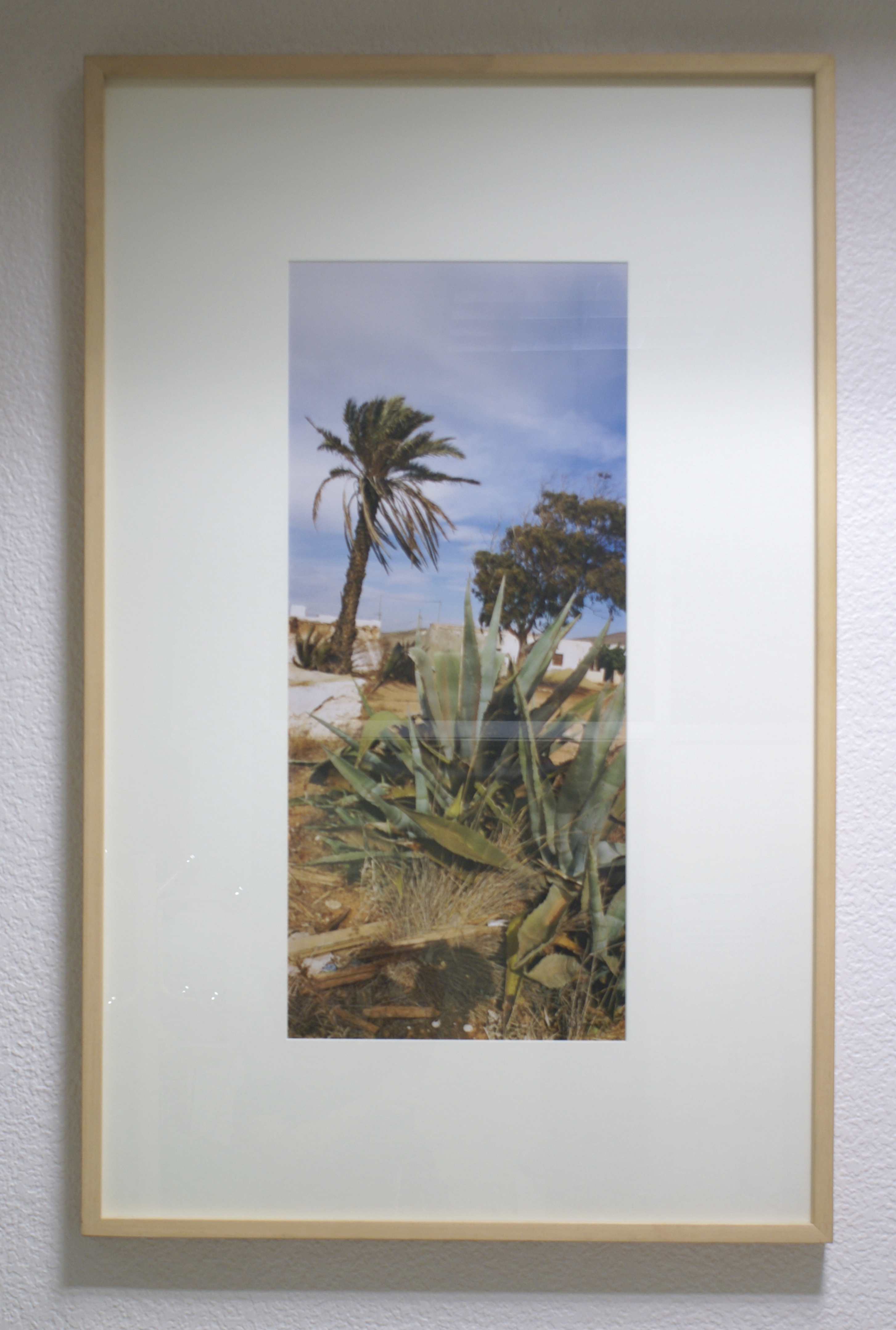 Texto alternativo para la imagen