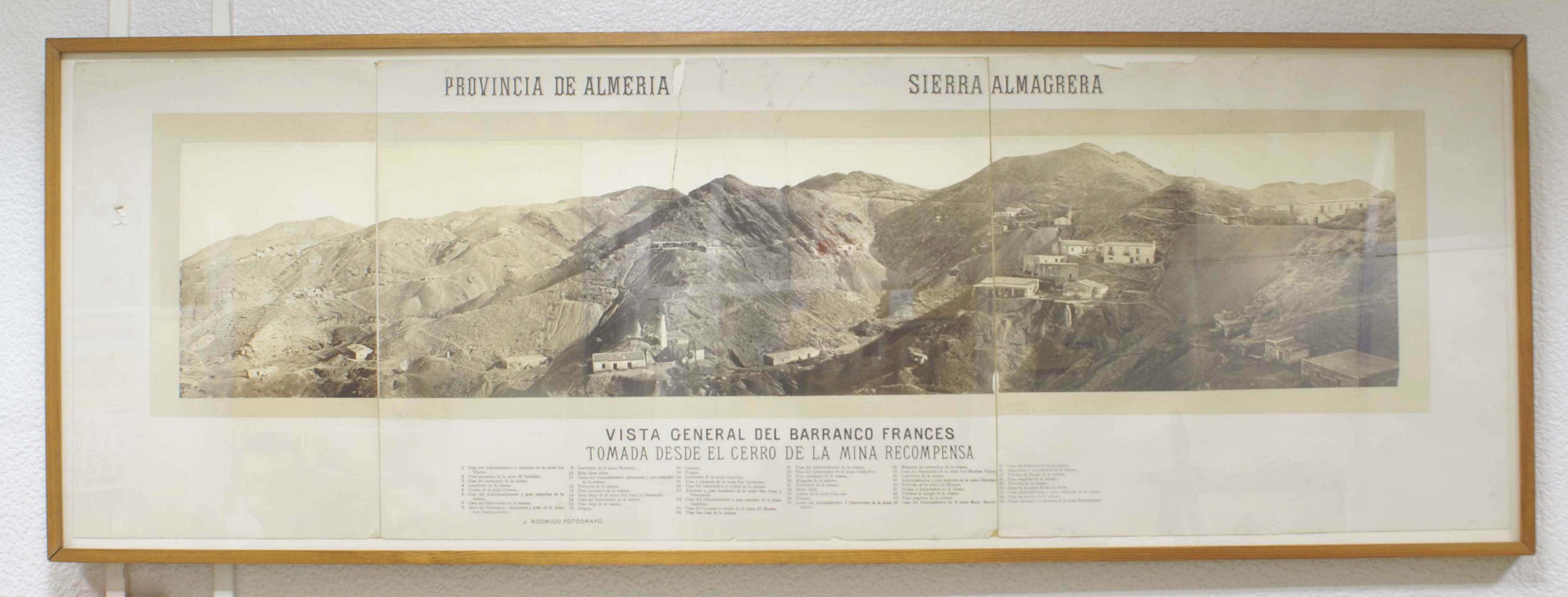 Texto alternativo para la imagen