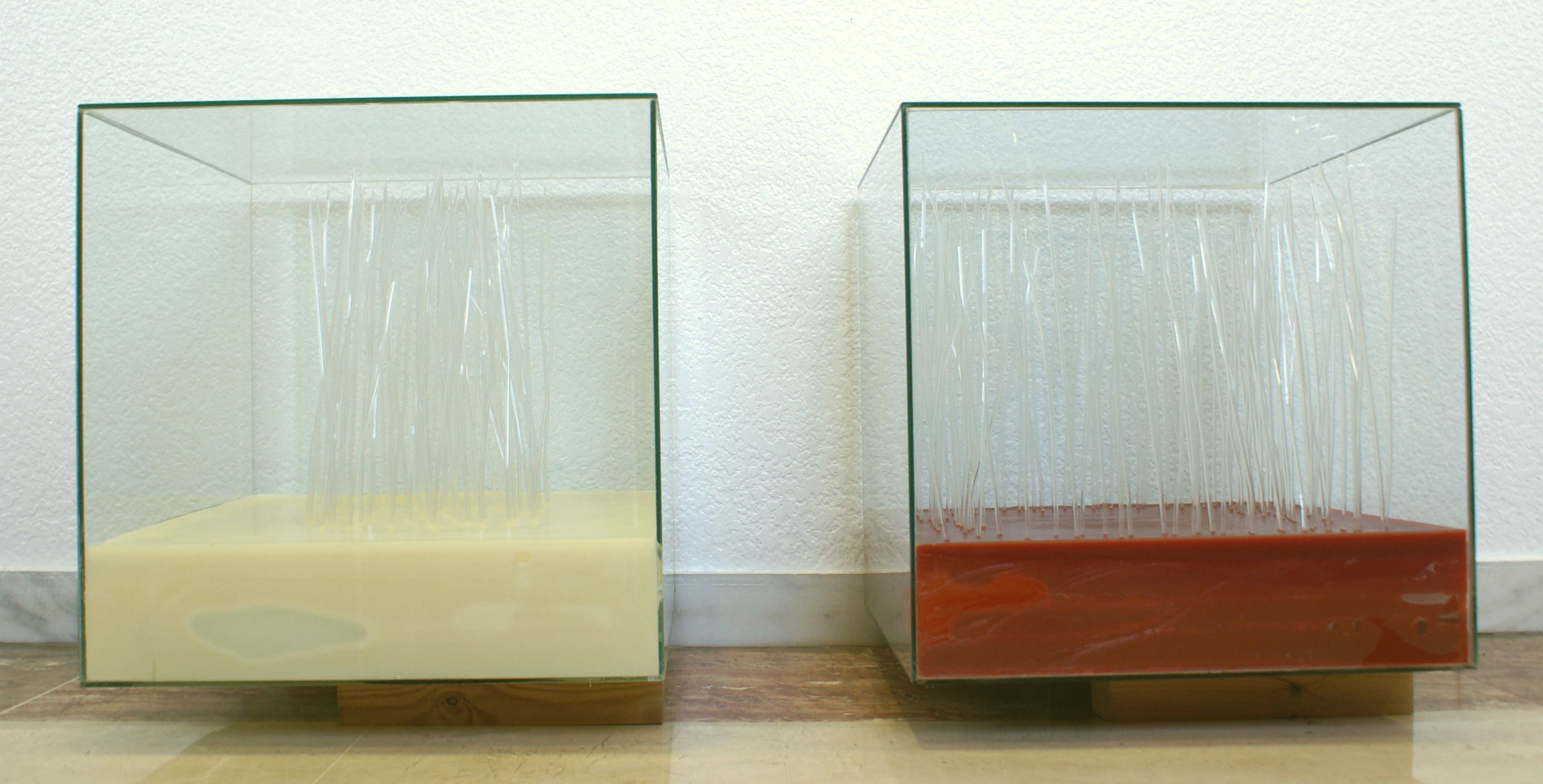 Texto alternativo para la imagen