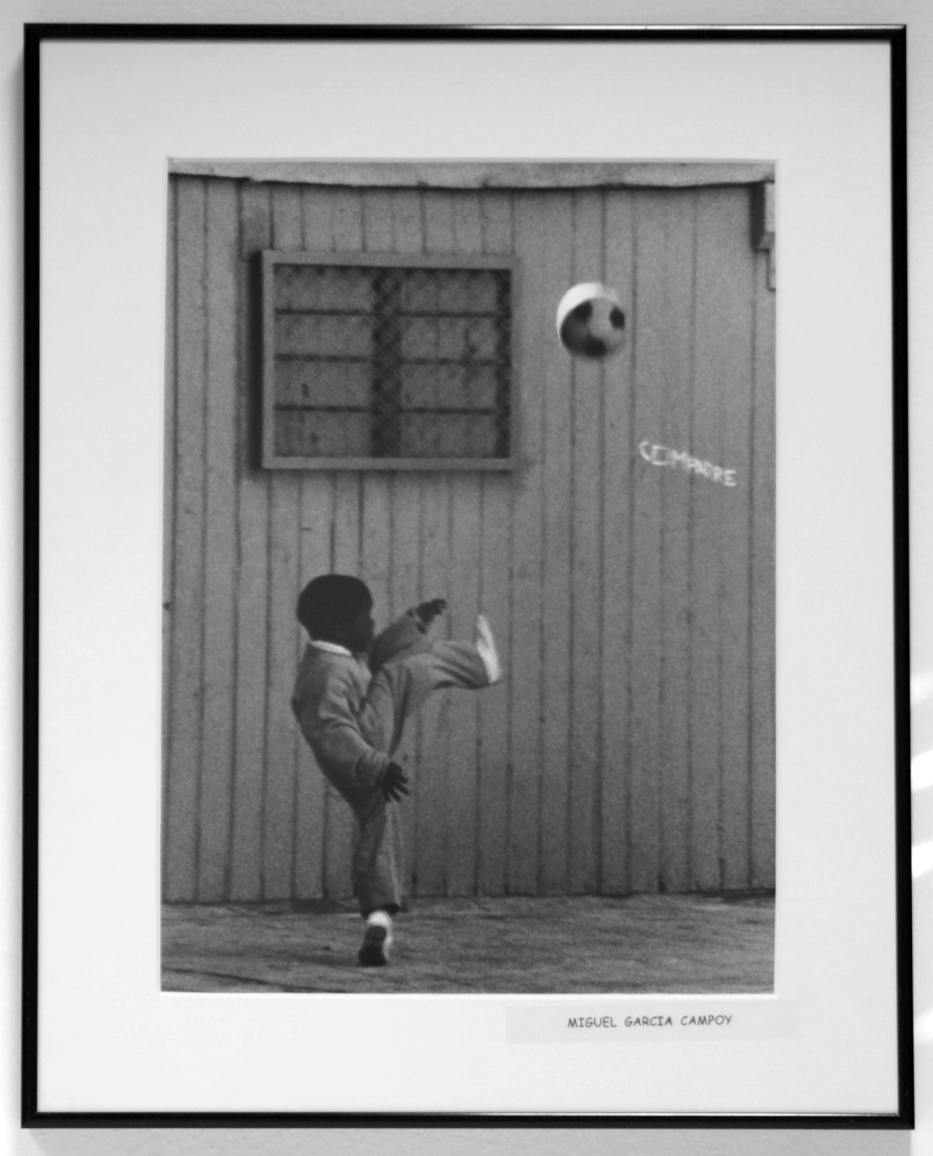 Texto alternativo para la imagen