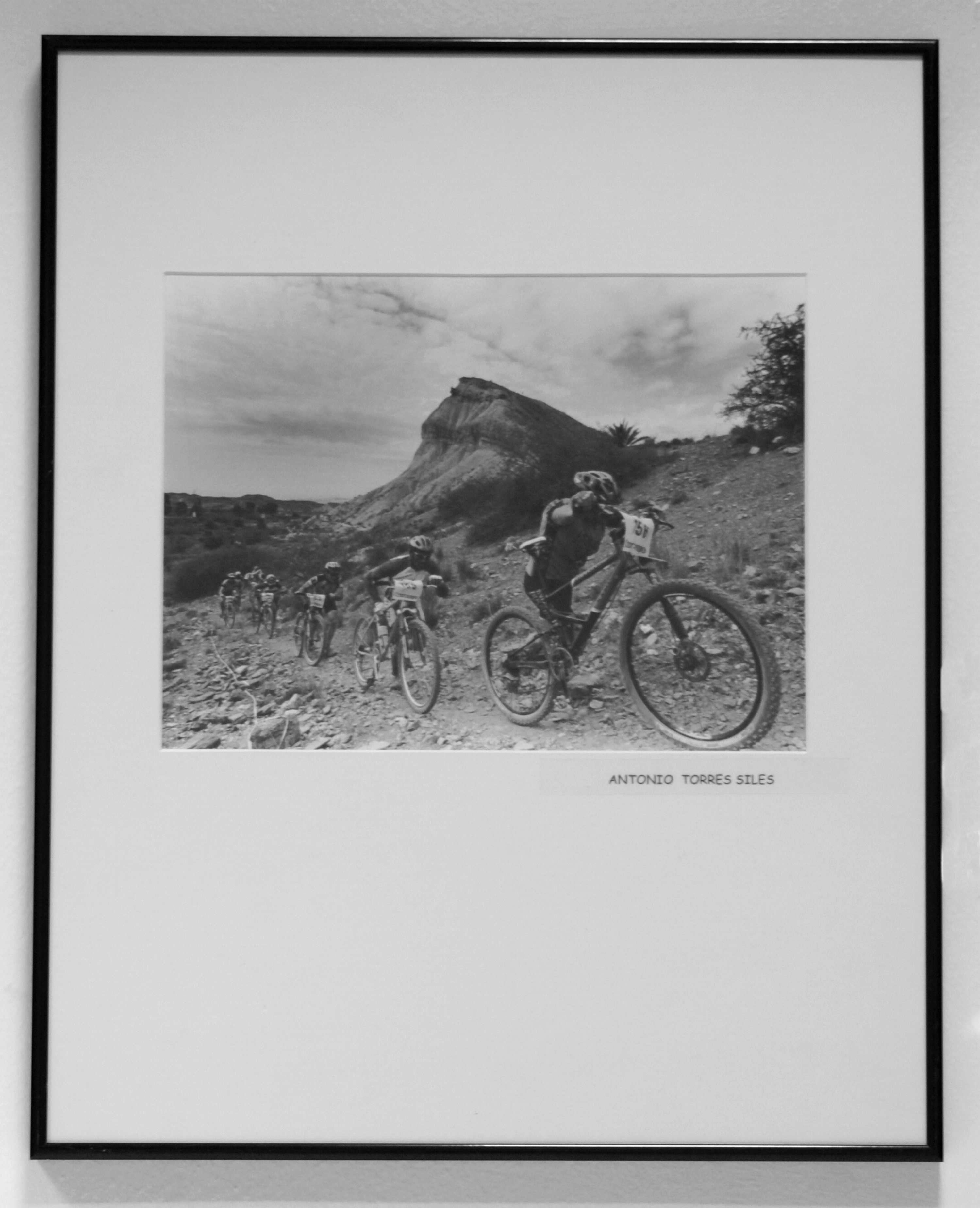 Texto alternativo para la imagen