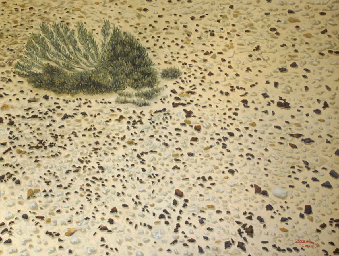 Texto alternativo para la imagen